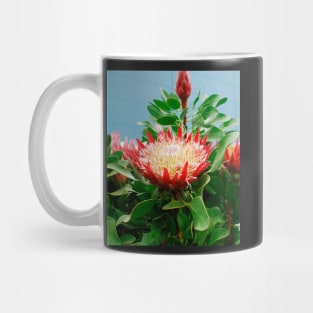 Protea Cynaroides Flower Mug